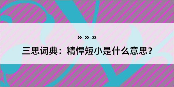 三思词典：精悍短小是什么意思？