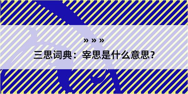 三思词典：宰思是什么意思？