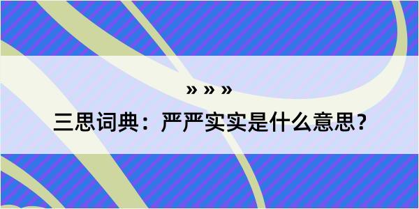 三思词典：严严实实是什么意思？