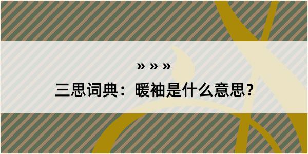 三思词典：暖袖是什么意思？