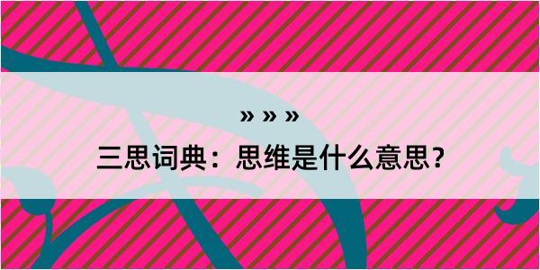 三思词典：思维是什么意思？