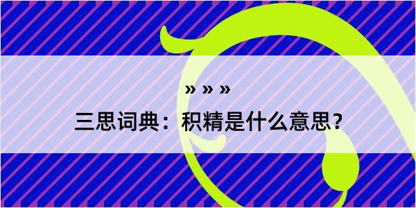 三思词典：积精是什么意思？