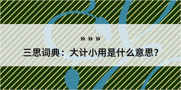 三思词典：大计小用是什么意思？