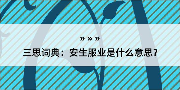 三思词典：安生服业是什么意思？