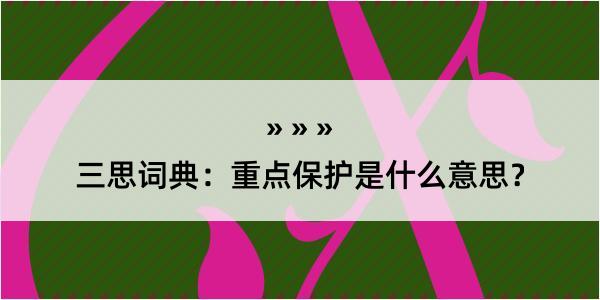 三思词典：重点保护是什么意思？