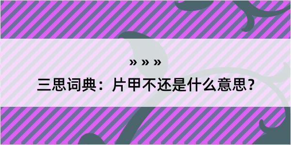 三思词典：片甲不还是什么意思？