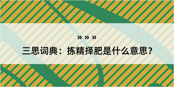 三思词典：拣精择肥是什么意思？