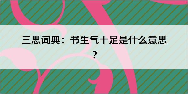 三思词典：书生气十足是什么意思？