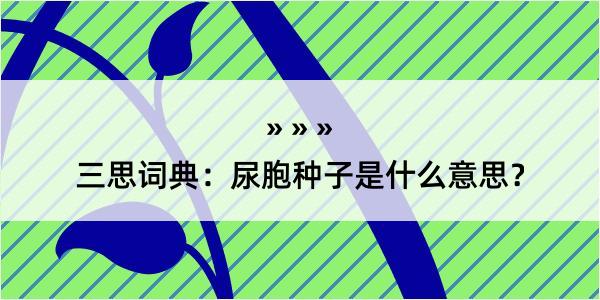 三思词典：尿胞种子是什么意思？