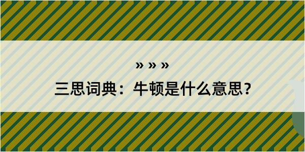 三思词典：牛顿是什么意思？