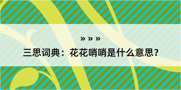 三思词典：花花哨哨是什么意思？