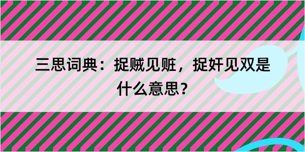 三思词典：捉贼见赃，捉奸见双是什么意思？