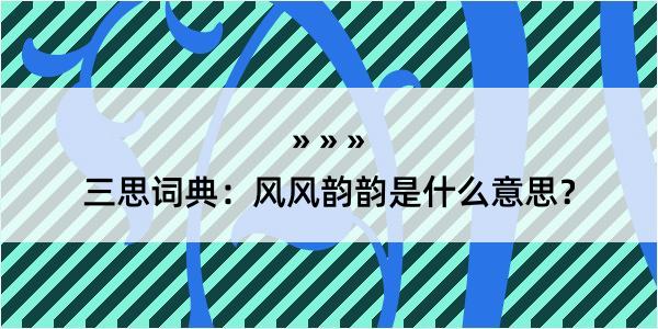 三思词典：风风韵韵是什么意思？