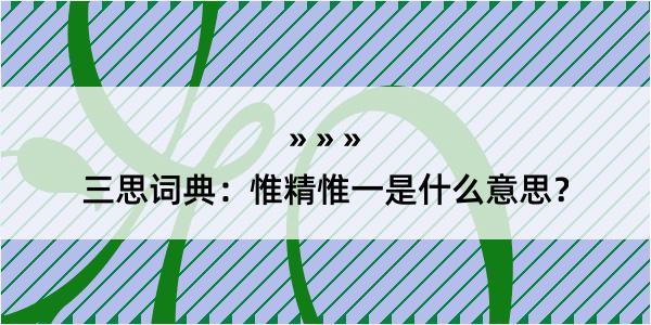 三思词典：惟精惟一是什么意思？