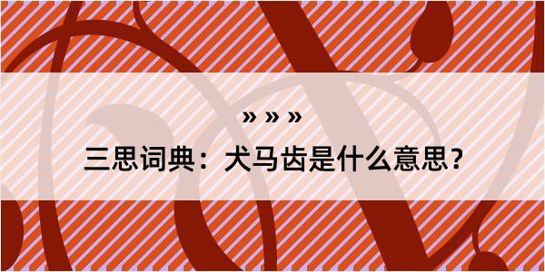 三思词典：犬马齿是什么意思？