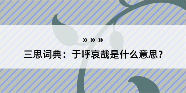 三思词典：于呼哀哉是什么意思？