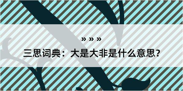 三思词典：大是大非是什么意思？