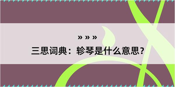 三思词典：轸琴是什么意思？