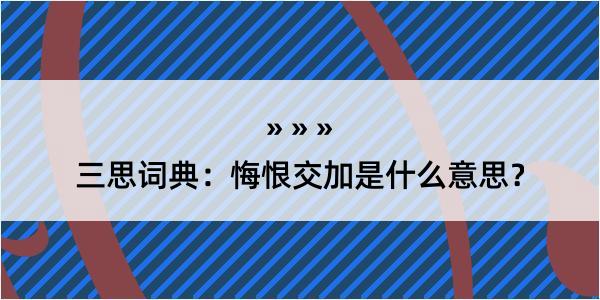 三思词典：悔恨交加是什么意思？