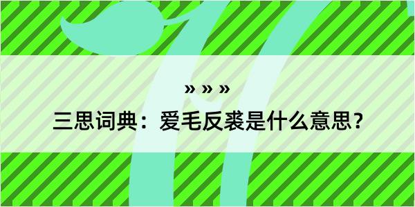 三思词典：爱毛反裘是什么意思？