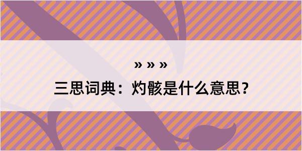 三思词典：灼骸是什么意思？