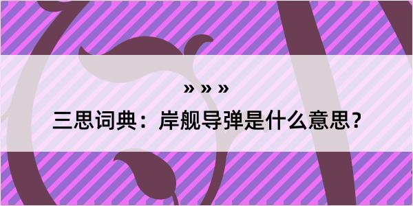 三思词典：岸舰导弹是什么意思？