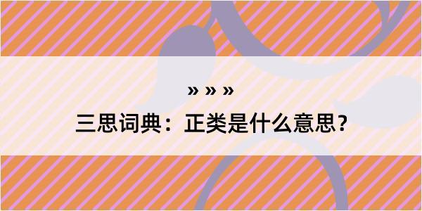 三思词典：正类是什么意思？