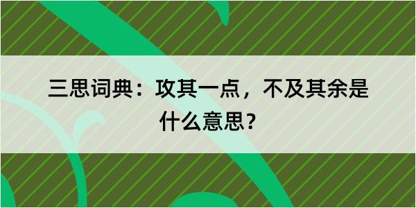 三思词典：攻其一点，不及其余是什么意思？