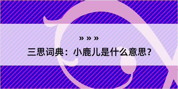 三思词典：小鹿儿是什么意思？