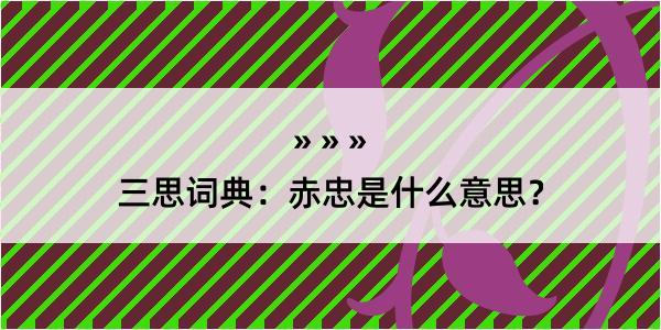 三思词典：赤忠是什么意思？