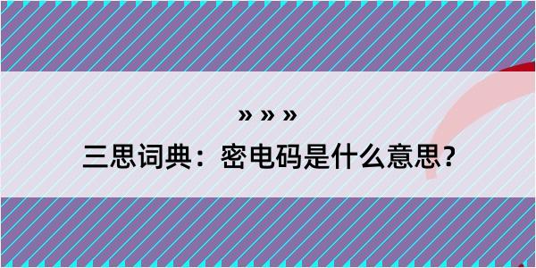 三思词典：密电码是什么意思？