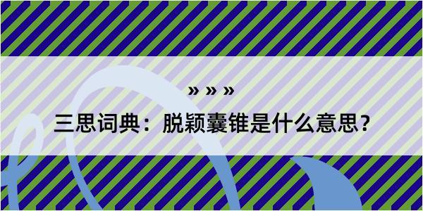 三思词典：脱颖囊锥是什么意思？