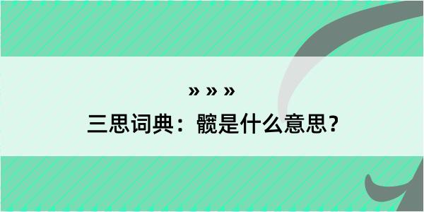 三思词典：髋是什么意思？