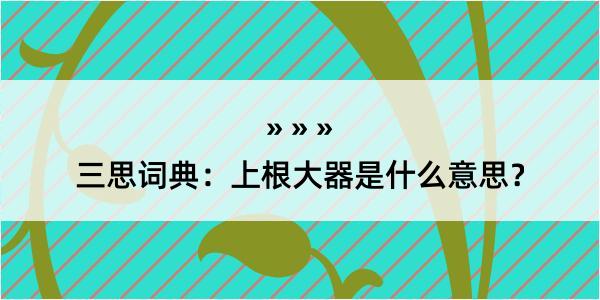 三思词典：上根大器是什么意思？