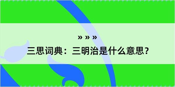 三思词典：三明治是什么意思？