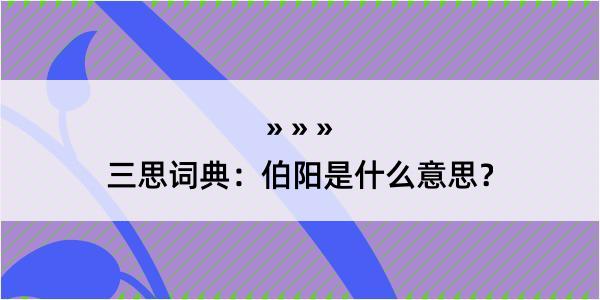 三思词典：伯阳是什么意思？