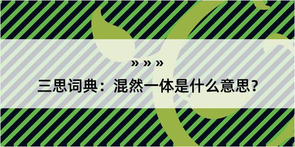 三思词典：混然一体是什么意思？