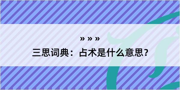 三思词典：占术是什么意思？