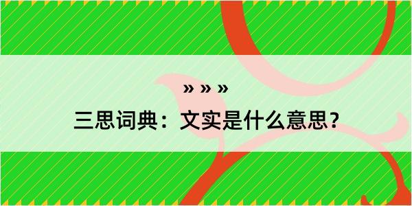 三思词典：文实是什么意思？