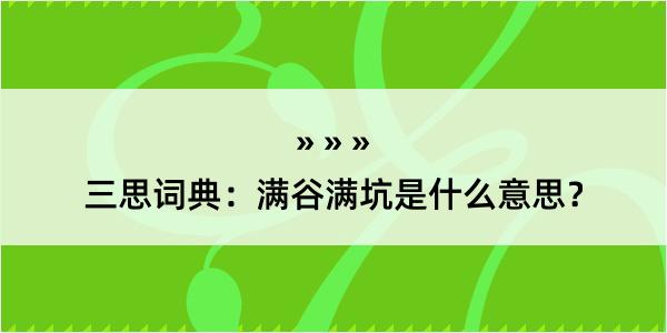 三思词典：满谷满坑是什么意思？