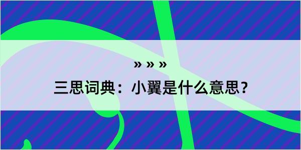 三思词典：小翼是什么意思？