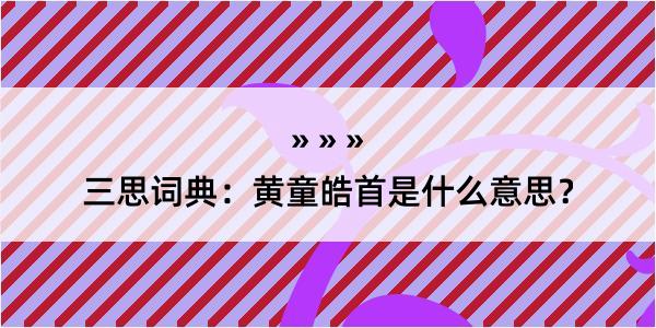 三思词典：黄童皓首是什么意思？