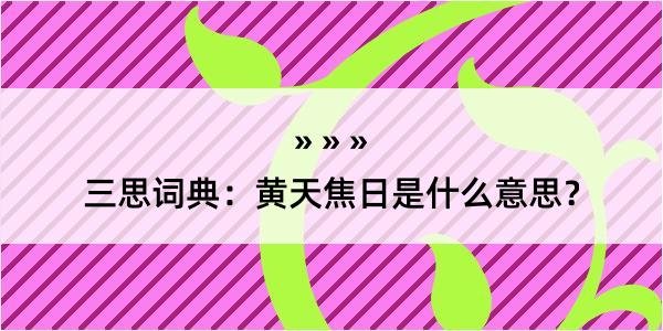 三思词典：黄天焦日是什么意思？