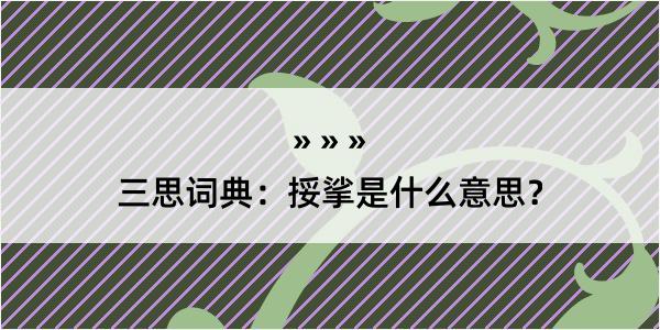 三思词典：挼挲是什么意思？