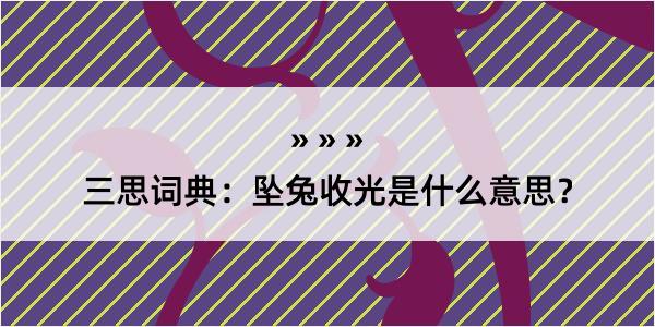 三思词典：坠兔收光是什么意思？