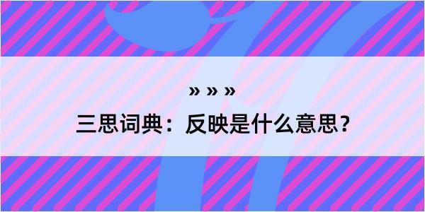 三思词典：反映是什么意思？