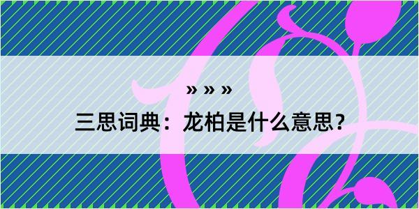 三思词典：龙柏是什么意思？