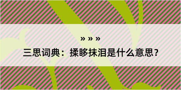 三思词典：揉眵抹泪是什么意思？