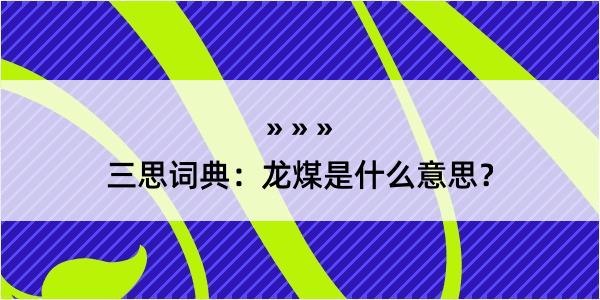 三思词典：龙煤是什么意思？