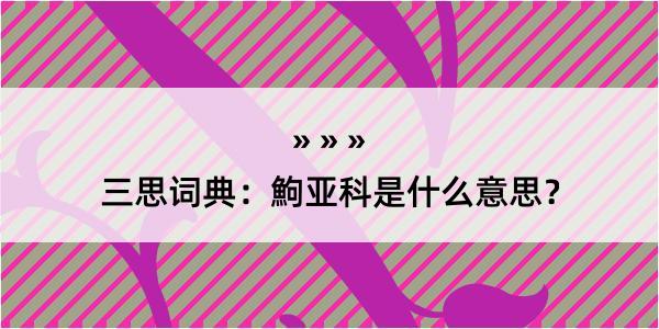 三思词典：鮈亚科是什么意思？